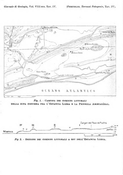 Giornale di geologia annali del R. Museo geologico di Bologna