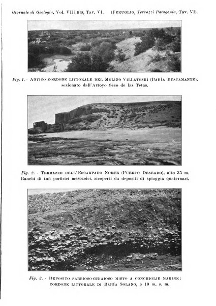 Giornale di geologia annali del R. Museo geologico di Bologna