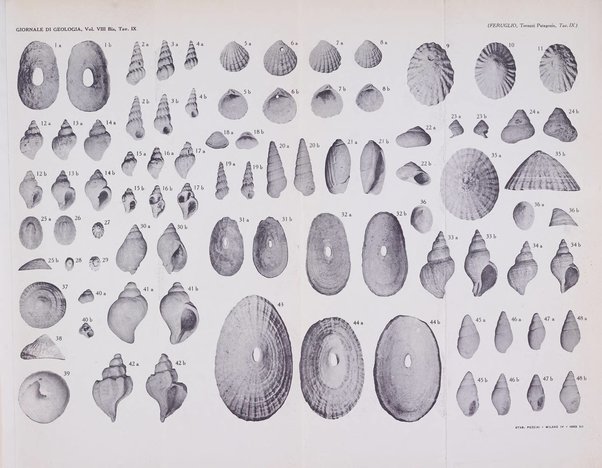 Giornale di geologia annali del R. Museo geologico di Bologna