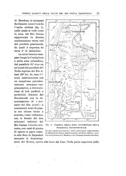 Giornale di geologia annali del R. Museo geologico di Bologna