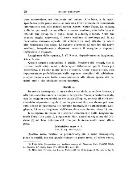 Giornale di geologia annali del R. Museo geologico di Bologna