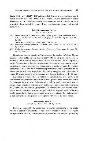 Giornale di geologia annali del R. Museo geologico di Bologna