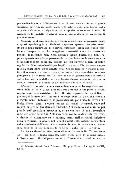 Giornale di geologia annali del R. Museo geologico di Bologna