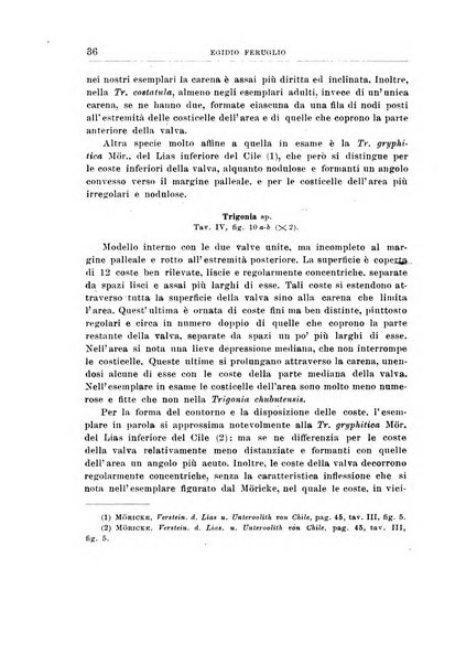 Giornale di geologia annali del R. Museo geologico di Bologna