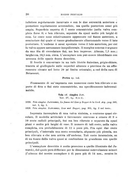 Giornale di geologia annali del R. Museo geologico di Bologna