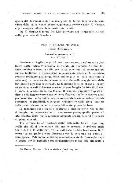 Giornale di geologia annali del R. Museo geologico di Bologna