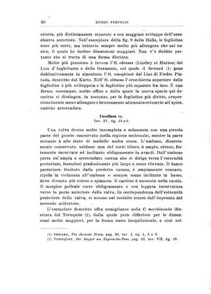 Giornale di geologia annali del R. Museo geologico di Bologna