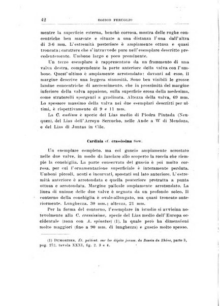 Giornale di geologia annali del R. Museo geologico di Bologna