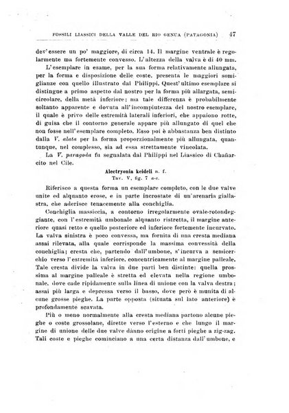 Giornale di geologia annali del R. Museo geologico di Bologna