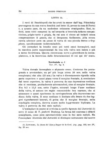 Giornale di geologia annali del R. Museo geologico di Bologna