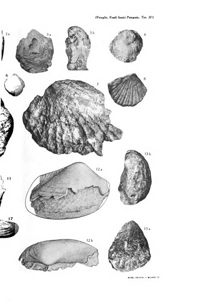 Giornale di geologia annali del R. Museo geologico di Bologna