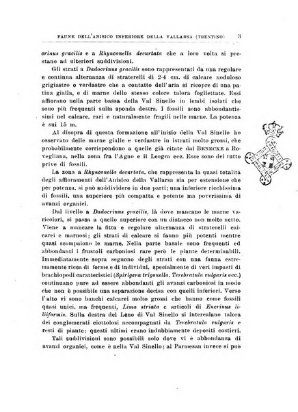 Giornale di geologia annali del R. Museo geologico di Bologna