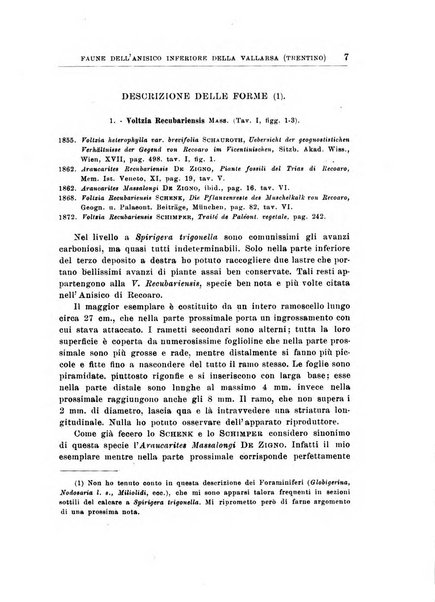 Giornale di geologia annali del R. Museo geologico di Bologna