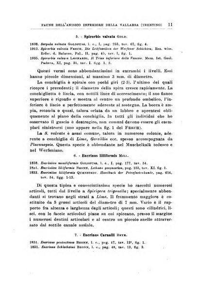 Giornale di geologia annali del R. Museo geologico di Bologna