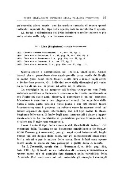 Giornale di geologia annali del R. Museo geologico di Bologna