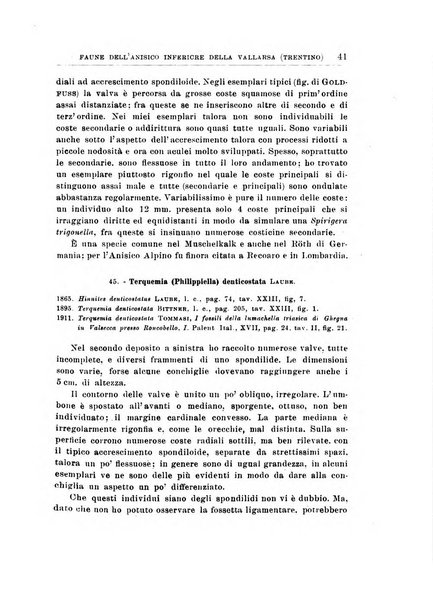 Giornale di geologia annali del R. Museo geologico di Bologna