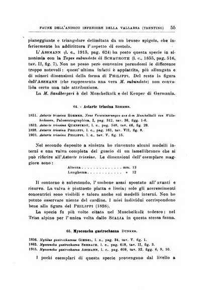 Giornale di geologia annali del R. Museo geologico di Bologna