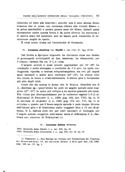 Giornale di geologia annali del R. Museo geologico di Bologna