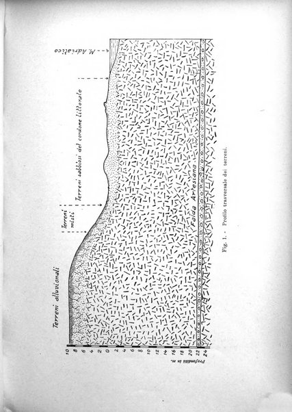 Giornale di geologia annali del R. Museo geologico di Bologna