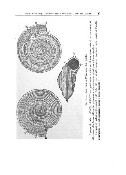 Giornale di geologia annali del R. Museo geologico di Bologna