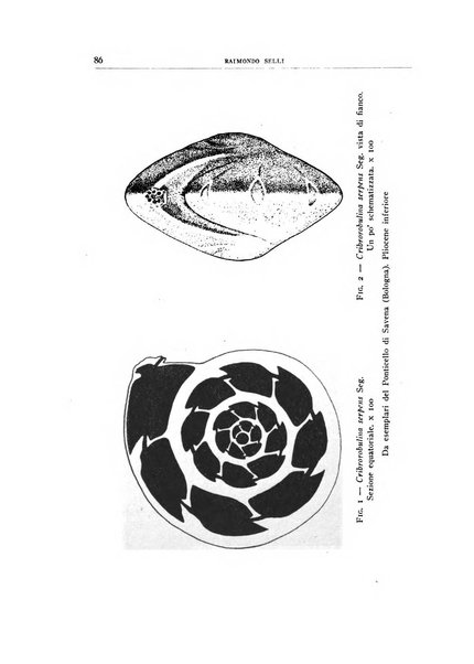 Giornale di geologia annali del R. Museo geologico di Bologna