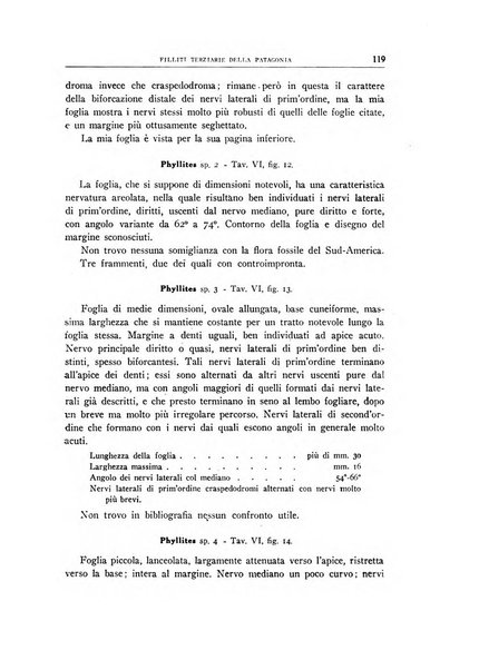 Giornale di geologia annali del R. Museo geologico di Bologna