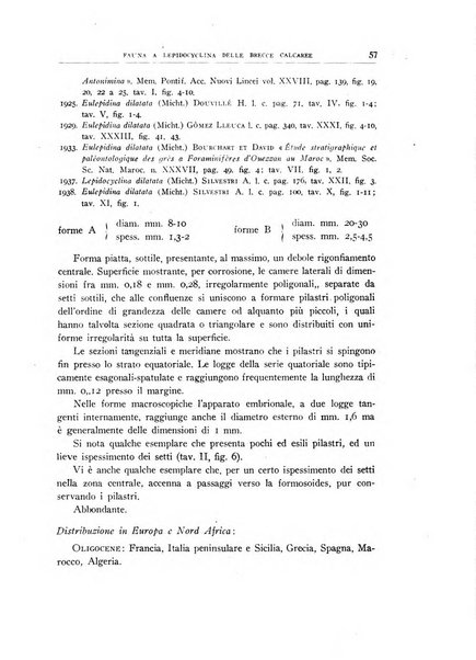 Giornale di geologia annali del R. Museo geologico di Bologna