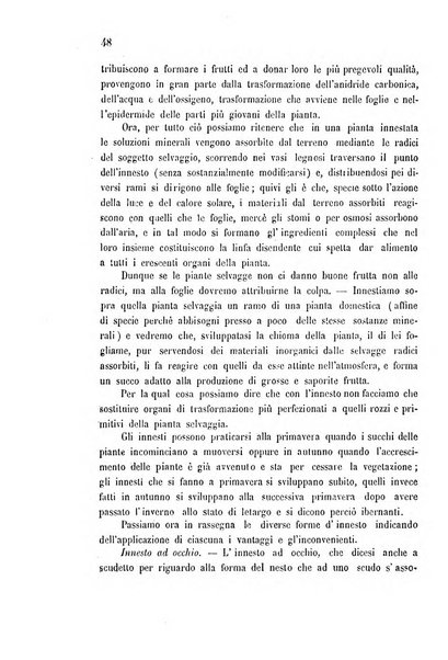 Bollettino del comizio agrario di Mantova e dei distretti riuniti di Asola, Bozzolo, Canneto sull'Oglio, Gonzaga, Ostiglia, Volta