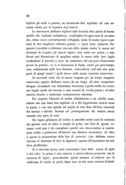 Bollettino del comizio agrario di Mantova e dei distretti riuniti di Asola, Bozzolo, Canneto sull'Oglio, Gonzaga, Ostiglia, Volta