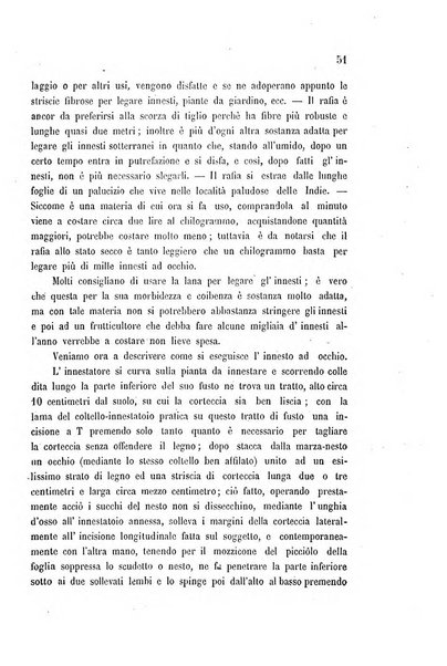 Bollettino del comizio agrario di Mantova e dei distretti riuniti di Asola, Bozzolo, Canneto sull'Oglio, Gonzaga, Ostiglia, Volta