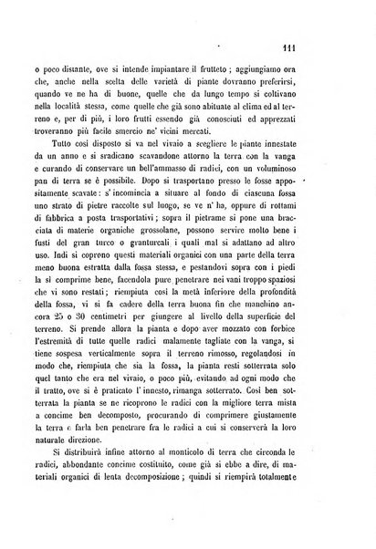 Bollettino del comizio agrario di Mantova e dei distretti riuniti di Asola, Bozzolo, Canneto sull'Oglio, Gonzaga, Ostiglia, Volta