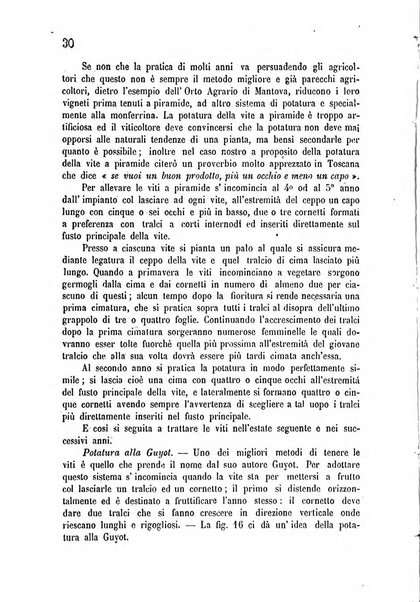 Bollettino del comizio agrario di Mantova e dei distretti riuniti di Asola, Bozzolo, Canneto sull'Oglio, Gonzaga, Ostiglia, Volta