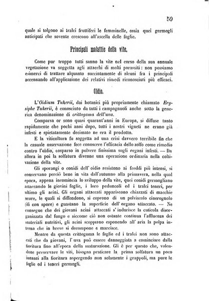 Bollettino del comizio agrario di Mantova e dei distretti riuniti di Asola, Bozzolo, Canneto sull'Oglio, Gonzaga, Ostiglia, Volta