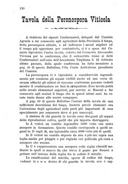 Bollettino del comizio agrario di Mantova e dei distretti riuniti di Asola, Bozzolo, Canneto sull'Oglio, Gonzaga, Ostiglia, Volta