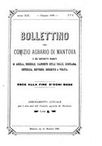 giornale/LO10437540/1890/unico/00000257