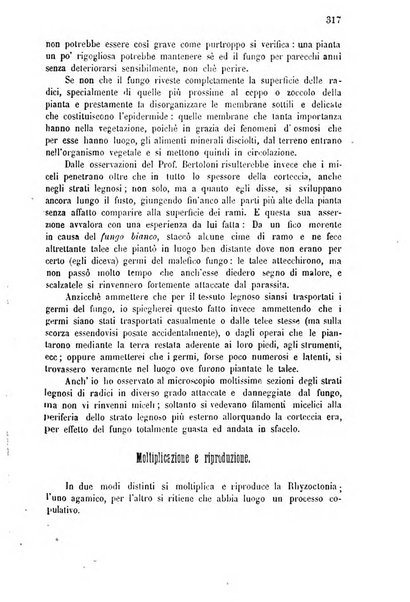 Bollettino del comizio agrario di Mantova e dei distretti riuniti di Asola, Bozzolo, Canneto sull'Oglio, Gonzaga, Ostiglia, Volta