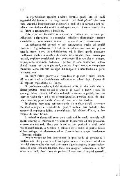 Bollettino del comizio agrario di Mantova e dei distretti riuniti di Asola, Bozzolo, Canneto sull'Oglio, Gonzaga, Ostiglia, Volta