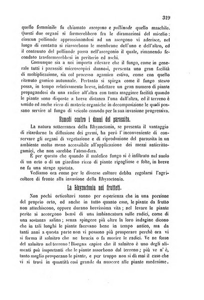 Bollettino del comizio agrario di Mantova e dei distretti riuniti di Asola, Bozzolo, Canneto sull'Oglio, Gonzaga, Ostiglia, Volta