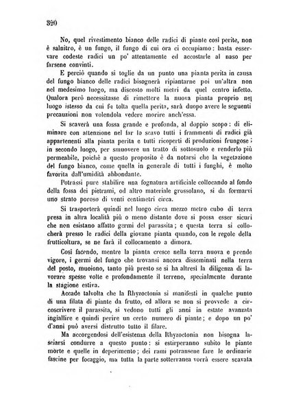 Bollettino del comizio agrario di Mantova e dei distretti riuniti di Asola, Bozzolo, Canneto sull'Oglio, Gonzaga, Ostiglia, Volta