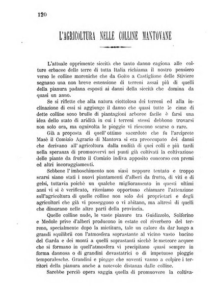 Bollettino del comizio agrario di Mantova e dei distretti riuniti di Asola, Bozzolo, Canneto sull'Oglio, Gonzaga, Ostiglia, Volta