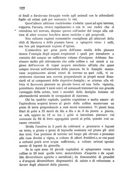 Bollettino del comizio agrario di Mantova e dei distretti riuniti di Asola, Bozzolo, Canneto sull'Oglio, Gonzaga, Ostiglia, Volta