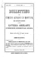 giornale/LO10437540/1896/unico/00000199