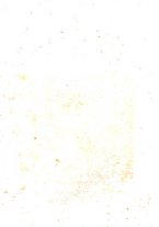 giornale/LO10463111/1845/v.2/00000004