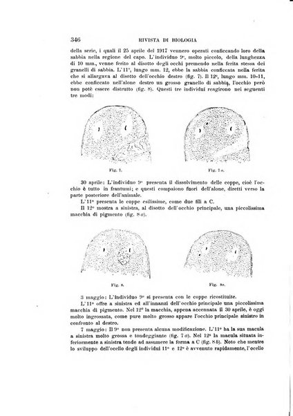 Rivista di biologia