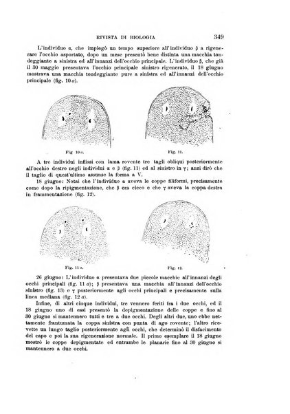 Rivista di biologia