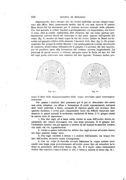 Rivista di biologia