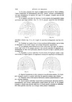 giornale/MIL0000417/1919/unico/00000384