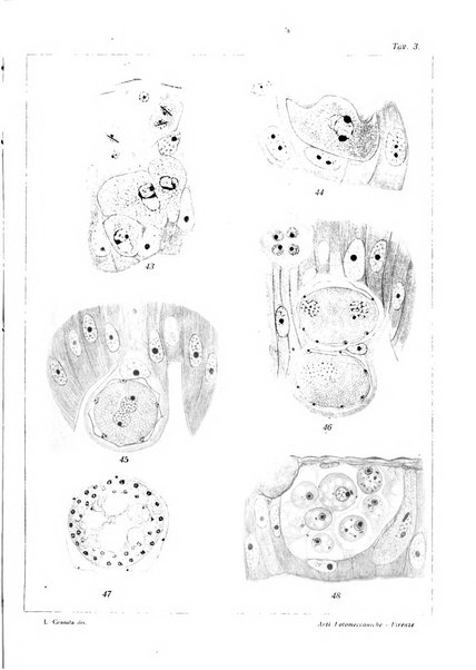 Rivista di biologia