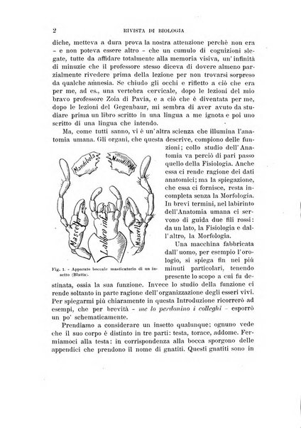 Rivista di biologia