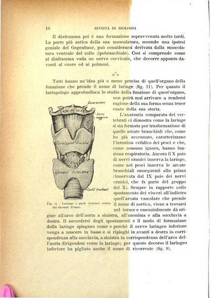 Rivista di biologia